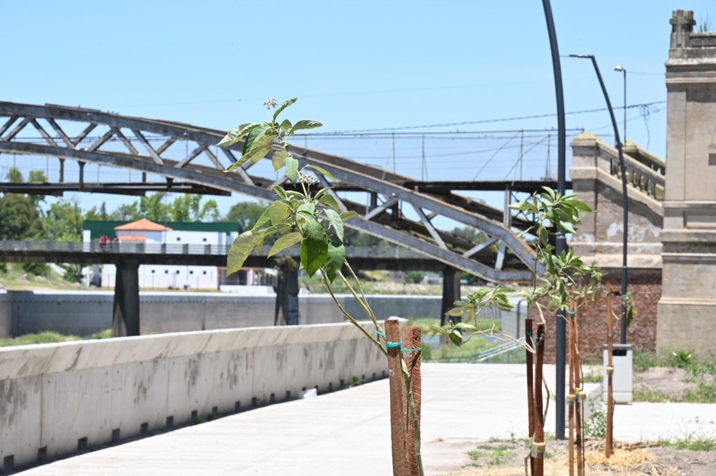 Avanza la parquización sobre el Río Luján