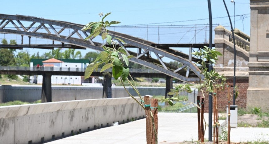 Avanza la parquización sobre el Río Luján
