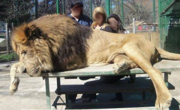 Concejales piden información sobre el estado del Zoo Luján