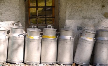 Néstor Barboza: “En el país de las vacas sería una lástima importar leche”