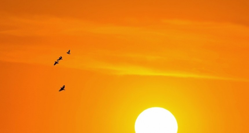 La UNLu generará electricidad con energía solar