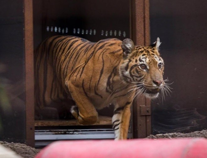 Se suma Daniel Salvatto como precandidato a intentende