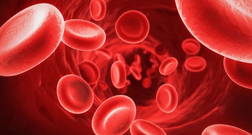 Nutrición: Anemia