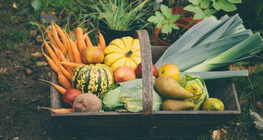 Nutrición: Frutas y verduras en otoño