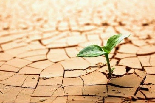 Resiliencia para tiempos dif&iacute;ciles