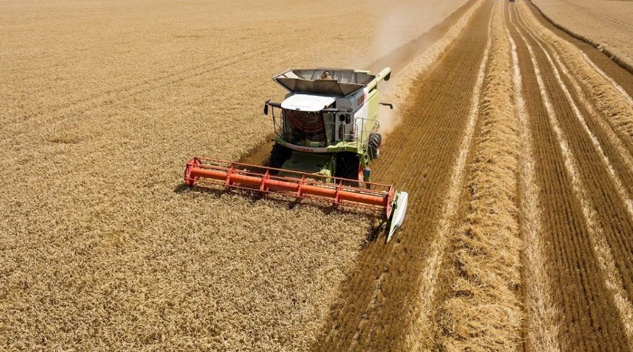  ARGENTINA POTENCIA, un seminario para pensar la historia