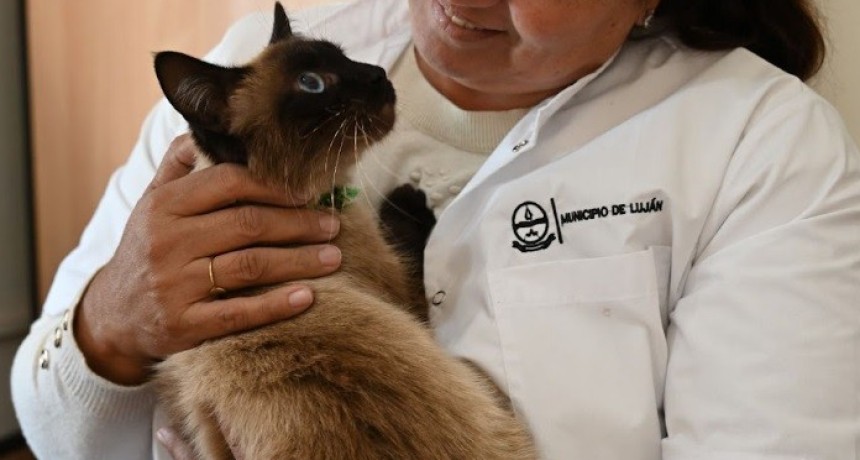 Rescatan a una perra y una gatita maltratadas por una mujer