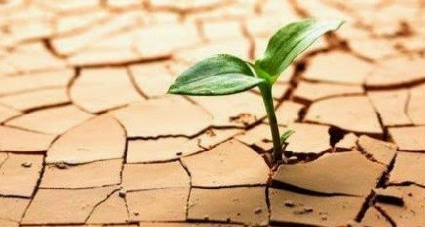 Resiliencia para tiempos dif&iacute;ciles