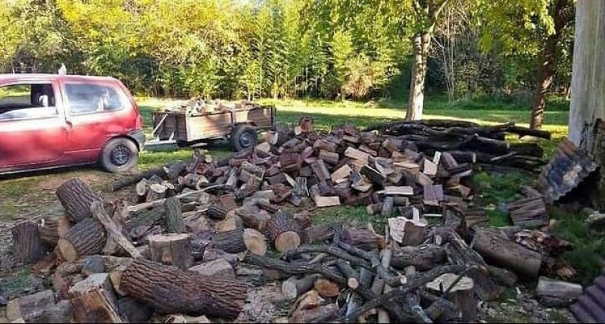 “Queremos que el lugar tenga vida pero sin perder el pulmón verde”