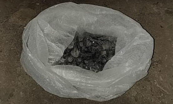  Patrullas, sirenas, allanamientos y aprehensiones por droga
