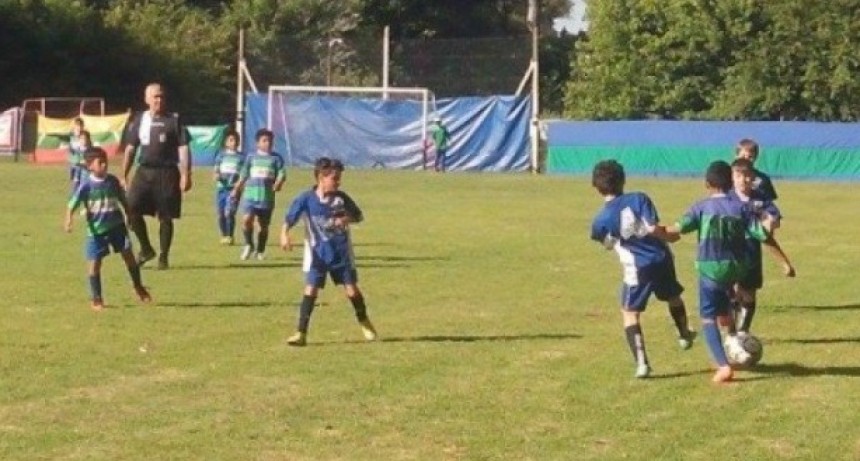 Violencia en el f&uacute;tbol infantil y suspensi&oacute;n de ACIFO