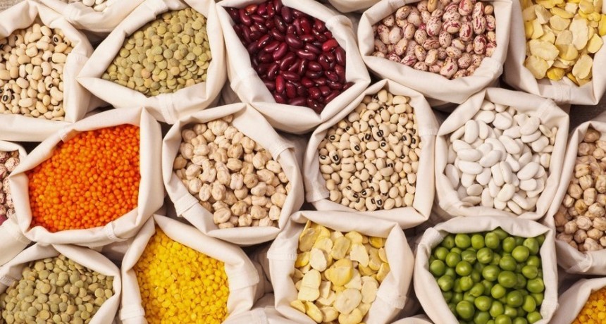 Nutrición: ¿Consumimos legumbres?