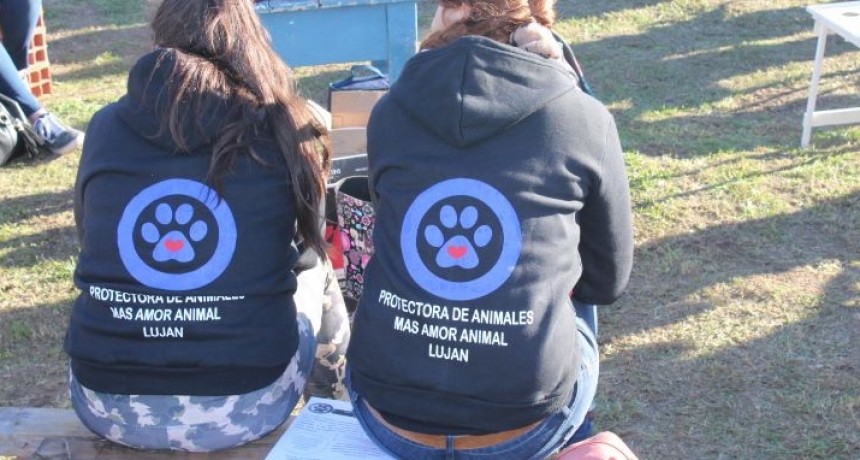 Peña solidaria a beneficio de "Más Amor Animal"