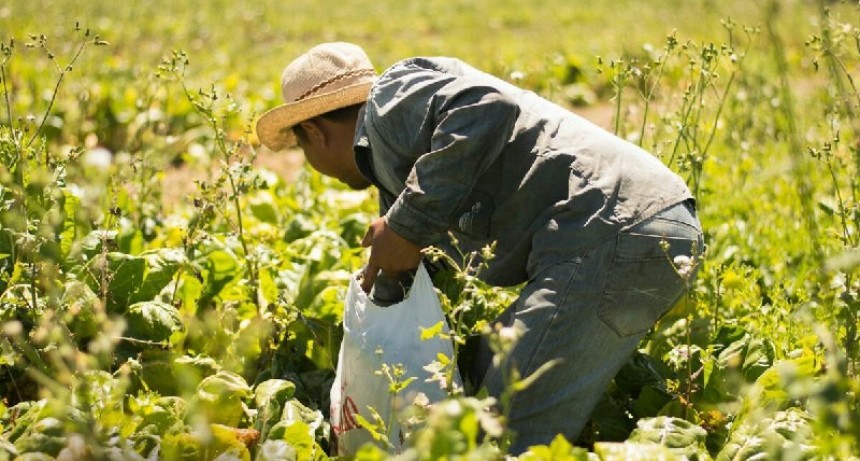 Verdurazo frente a La Rural: "La tierra es nuestra vida"