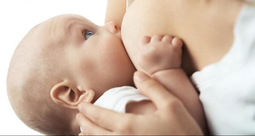 Nutrición biológica y afectiva