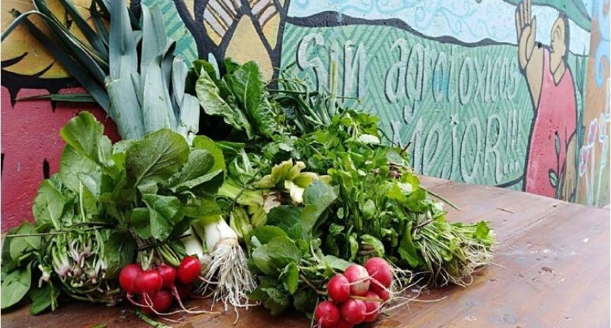 El Artigas amplía oferta de verduras y frutas agroecológicas