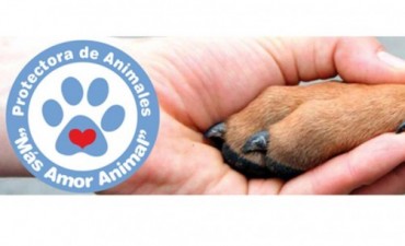 “Más Amor Animal”: actividades de Septiembre, “Perrotón” y Peregrinación Gaucha
