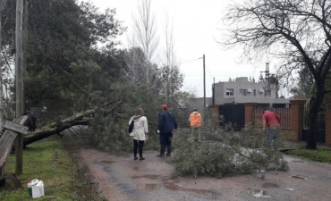 El municipio declara Estado de Alerta