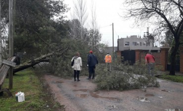 Se levantó el estado de alerta climática