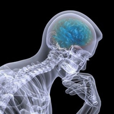 Lic. Esteban Gomez sobre el cerebro emocional