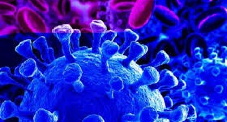 Coronavirus: otros 37 casos positivos 