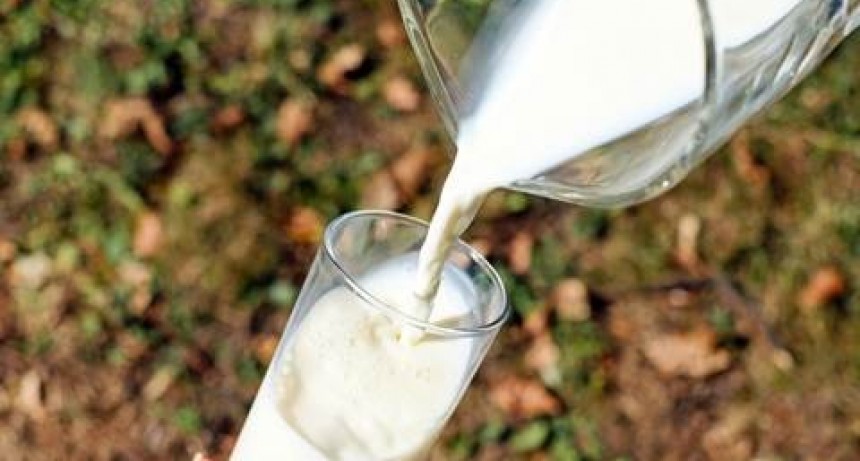 La UNLu promueve el consumo de lácteos