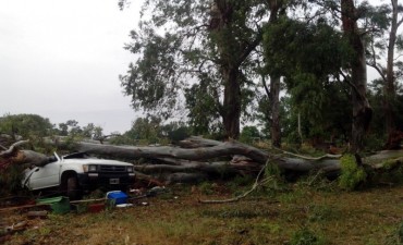 "En Olivera el viento superó los 80 kilómetros por hora"