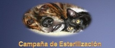 Campaña de Castracion de Fundaco
